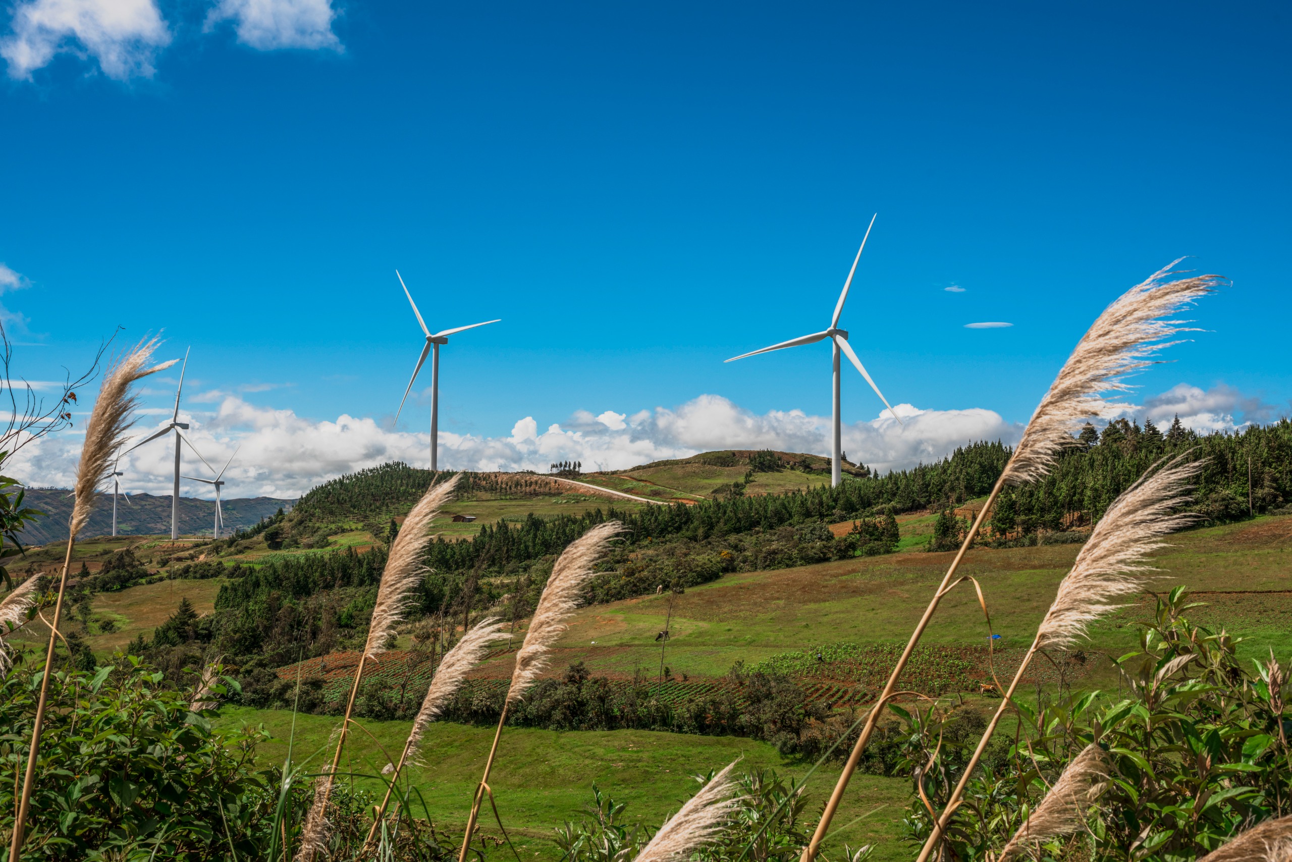 Molinos en Cajamarca